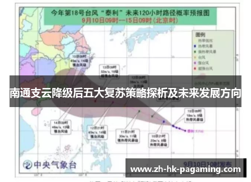 南通支云降级后五大复苏策略探析及未来发展方向 南通支云降级后五大复苏策略探析及未来发展方向