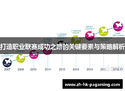 打造职业联赛成功之路的关键要素与策略解析