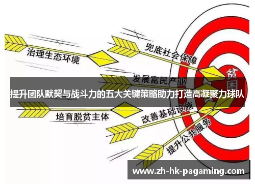 提升团队默契与战斗力的五大关键策略助力打造高凝聚力球队